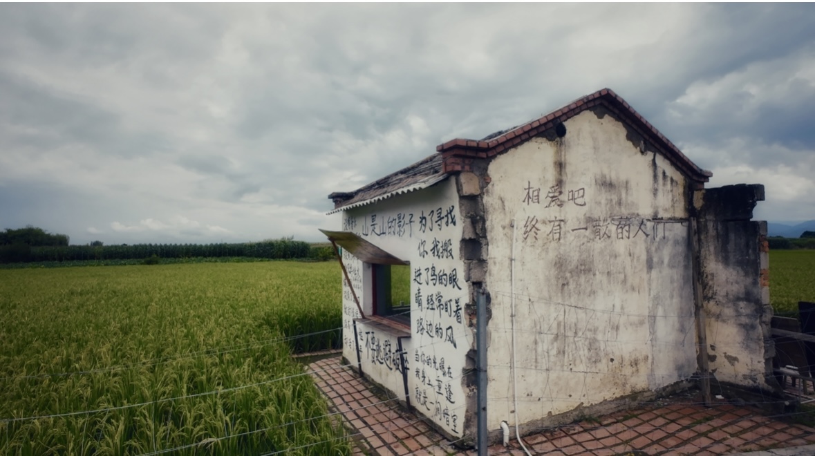 稻田边的白墙，喜洲稻田