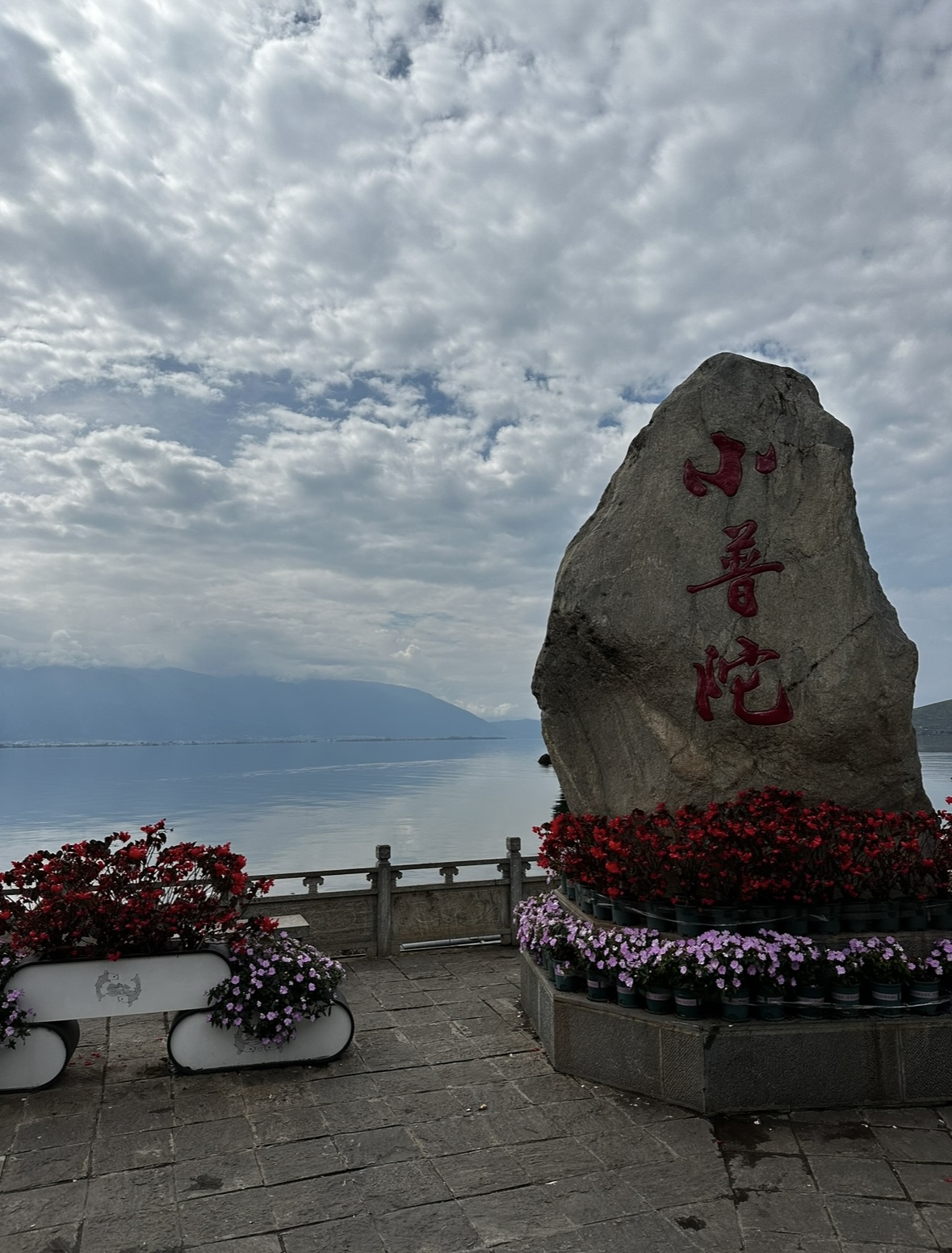 花海路标，才村花海