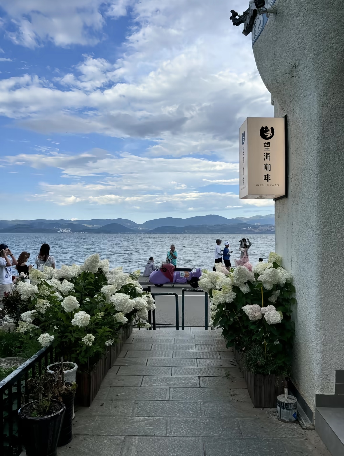 花径见海，洱海畔